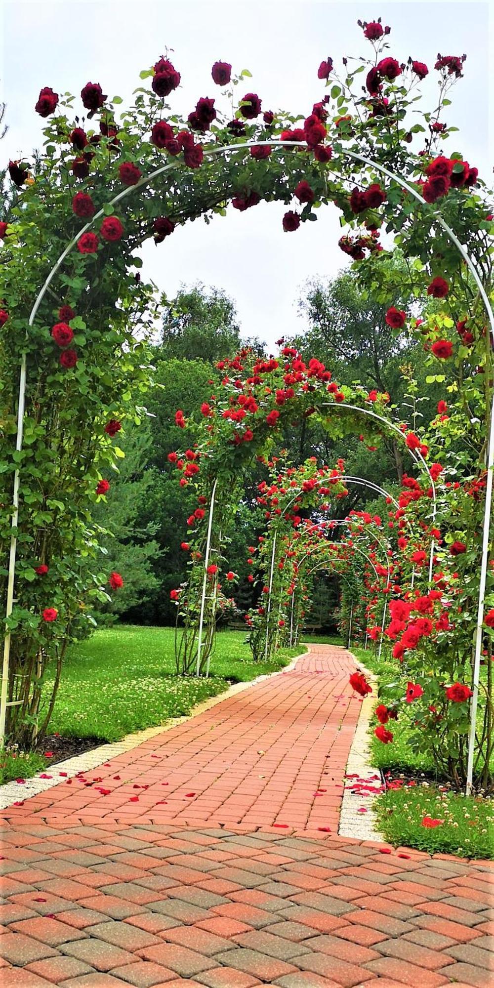 Zupe Guest House Radailiai ภายนอก รูปภาพ
